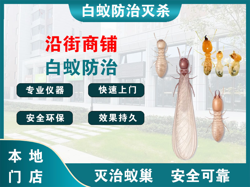 通州区沿街商铺白蚁防治