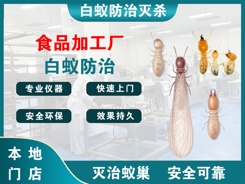 通州区食品加工厂白蚁防治