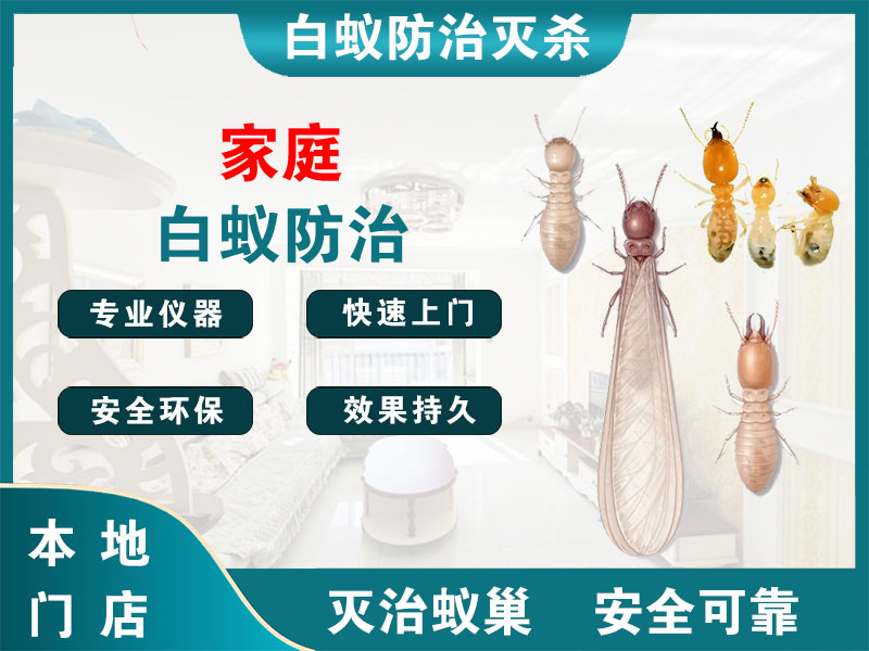 通州区家庭白蚁防治