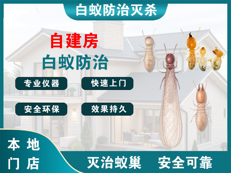 通州区自建房白蚁防治