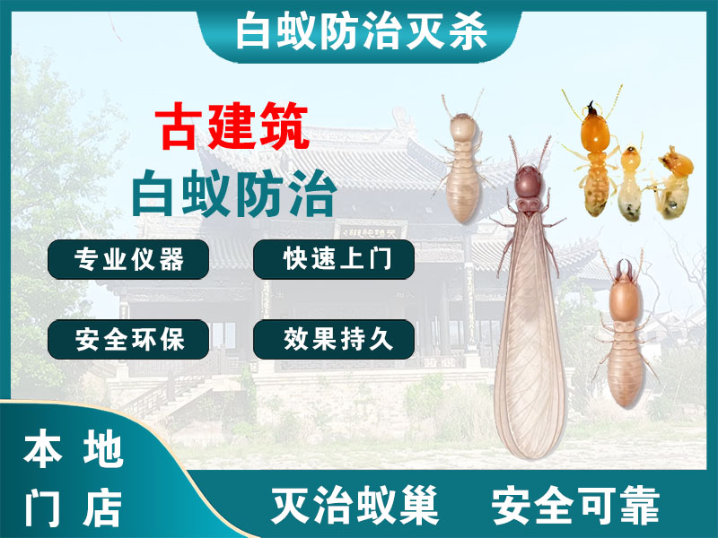 通州区古建筑白蚁防治