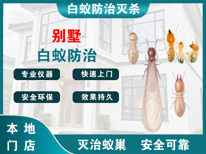 通州区别墅白蚁防治