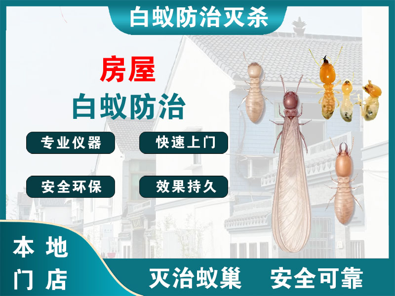 通州区房屋白蚁防治